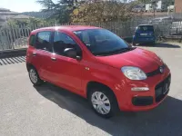 Usata Fiat Panda Easy 69 CV (50 kW) 2017 Rosso Utilitaria