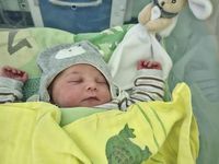 Usata Mazda MX5 110 CV (80 kW) 2002 Grigio Cabrio