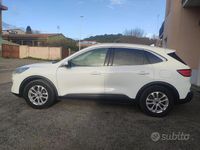 Usata Ford Kuga Titanium 120 CV (88 kW) 2020 Bianco SUV
