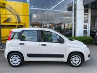 usata Fiat Panda 1.2 Lounge