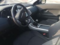 Usata Land Rover Range Rover evoque Pure 150 CV (110 kW) 2019 Bianco SUV