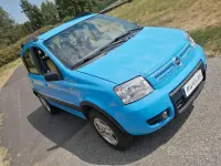 Usata Fiat Panda 4x4 Climbing 60 CV (44 kW) 2005 Bluazzurro Utilitaria