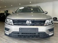 usata VW Tiguan 1.6 TDI Business BlueMotion Tech