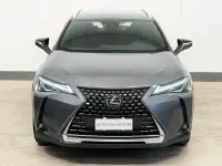 Usata Lexus UX Business Edition 152 CV (111 kW) 2022 Grigio SUV