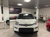 usata Fiat Panda 1.0 Hybrid City Life 5p