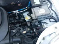 Usata Fiat 600 54 CV (39 kW) 2004 Berlina