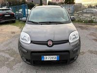 Usata Fiat Panda Cross 69 CV (50 kW) 2023 Grigio Utilitaria