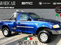 Usata Ford F-150 238 CV (175 kW) 1997 Blu Pick-up