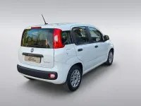 Usata Fiat Panda Easy 69 CV (50 kW) 2018 Bianco Utilitaria