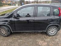 Usata Fiat Panda S 69 CV (50 kW) 2024 Nero Utilitaria