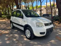 Usata Fiat Panda 4x4 60 CV (44 kW) 2009 Bianco Utilitaria