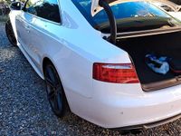 Usata Audi A5 S-Line 170 CV (125 kW) 2009 Bianco Coupé