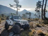 Occasion Jeep Wrangler 200 ch (147 kW) 2011 SUV