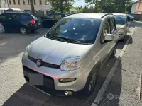 Usata Fiat Panda 4x4 S 85 CV (62 kW) 2017 Grigio Utilitaria