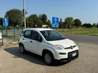 Usata Fiat Panda City Life 69 CV (50 kW) 2023 Bianco Utilitaria