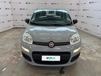 Usata Fiat Panda S 70 CV (51 kW) 2021 Grigio Utilitaria