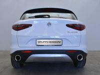 usata Alfa Romeo Stelvio 2017 2.2 t Business rwd 160cv auto my19