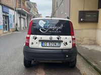 Usata Fiat Panda 60 CV (44 kW) 2008 Utilitaria