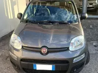 Usata Fiat Panda S 69 CV (50 kW) 2021 Grigio Utilitaria