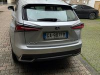 Usata Lexus NX300 2020 Grigio SUV