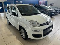 usata Fiat Panda 3ª serie 1.2 Easy