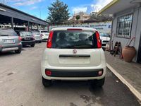 Usata Fiat Panda Easy 85 CV (62 kW) 2018 Bianco Utilitaria