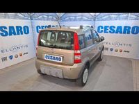 Usata Fiat Panda 4x4 Climbing 69 CV (50 kW) 2010 Beige spumeggiante (metallizza Utilitaria