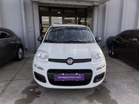 usata Fiat Panda 1.2 Easy usato