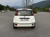 Usata Fiat Panda Cross Cross 69 CV (50 kW) 2020 Bianco Utilitaria