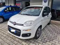 Usata Fiat Panda Easy 95 CV (69 kW) 2017 Bianco Utilitaria