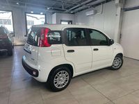 Nuova Fiat Panda Pop 69 CV (50 kW) 2026 Bianco gelato / vari colori Utilitaria