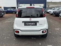 usata Fiat Panda Cross 1.0 FireFly S&S Hybrid