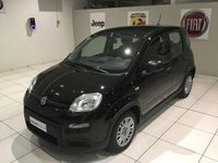 Usata Fiat Panda 69 CV (50 kW) 2023 Nero Utilitaria