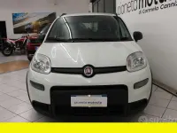 Usata Fiat Panda 71 CV (52 kW) 2024 Other Utilitaria