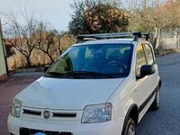 Begagnad Fiat Panda 4x4 75 HK (55 kW) 2011 Halvkombi