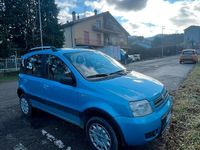 Usata Fiat Panda 4x4 60 CV (44 kW) 2004 Blu Utilitaria