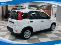 Usata Fiat Panda 70 CV (51 kW) 2024 Bianco Utilitaria