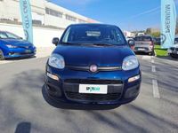 usata Fiat Panda 1.2 69CV E6 EASY