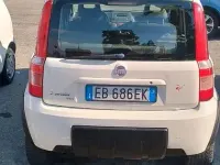 Usata Fiat Panda 4x4 75 CV (55 kW) 2011 Utilitaria
