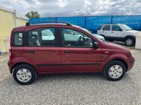 Usata Fiat Panda Dynamic 69 CV (50 kW) 2006 Rosso Utilitaria