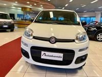 Usata Fiat Panda 4x4 Pop 86 CV (63 kW) 2020 Bianco Utilitaria
