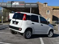 Usata Fiat Panda 84 CV (61 kW) 2020 Bianco Utilitaria