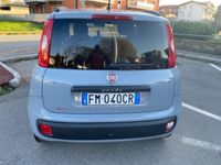 usata Fiat Panda 1.2 EasyPower Pandazzurri