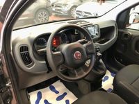 Usata Fiat Panda S 71 CV (52 kW) 2023 Grigio Utilitaria