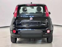 usata Fiat Panda Cross 1.0 FireFly S&S Hybrid City nuova a Bassano del Grappa