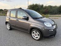 Usata Fiat Panda City Life 69 CV (50 kW) 2023 Grigio Utilitaria