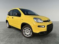 Usata Fiat Panda S 69 CV (50 kW) 2024 Giallo Utilitaria
