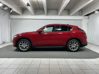Usata Alfa Romeo Stelvio Executive 201 CV (147 kW) 2019 Rosso SUV