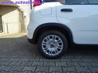 usata Fiat Panda 3ª serie 1.0 FireFly S&S Hybrid