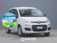 Usata Fiat Panda S 69 CV (50 kW) 2025 Bianco Utilitaria